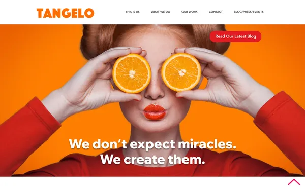 img of B2B Digital Marketing Agency - Tangelo-Media